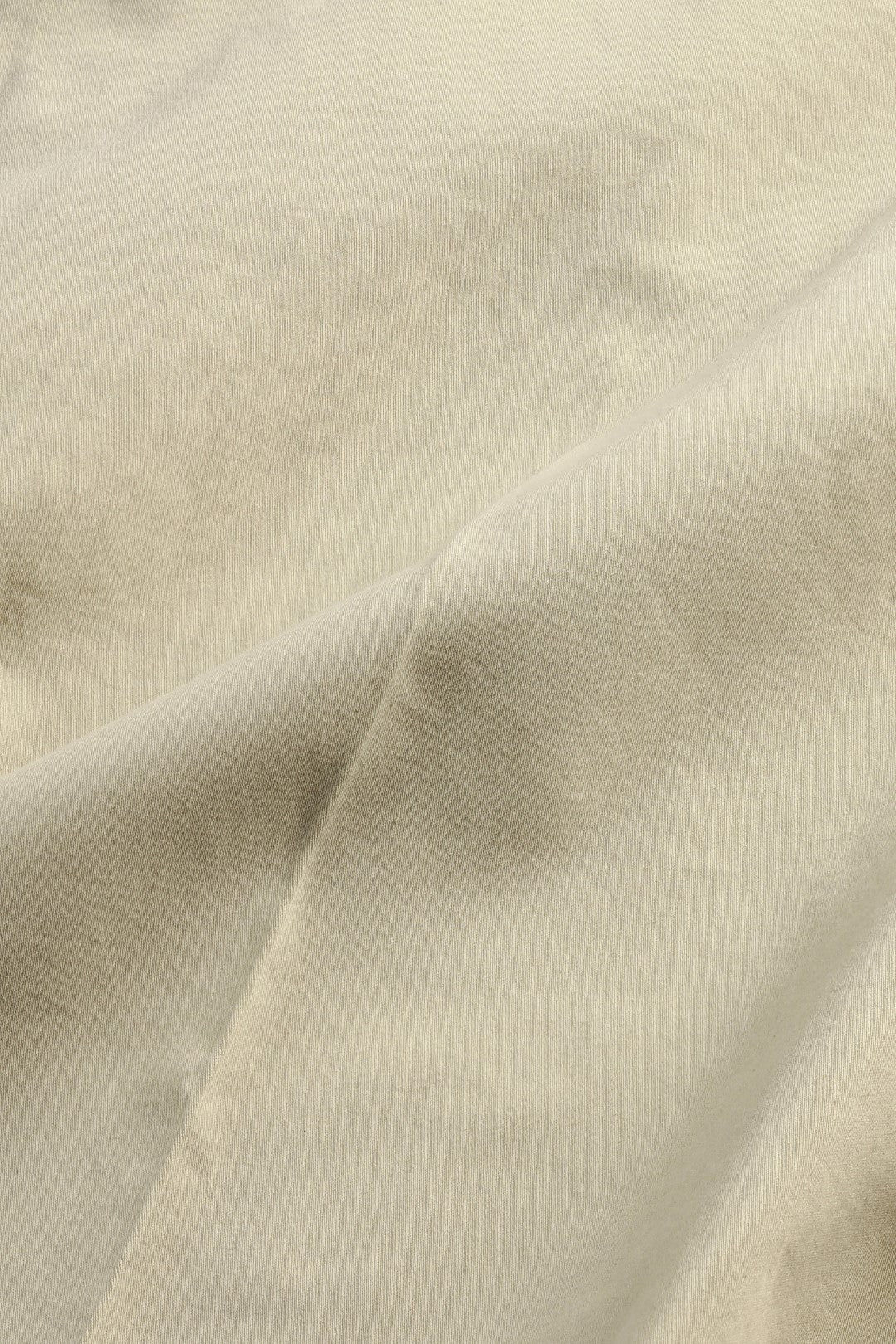 Paw 1804 - Ivory